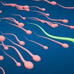 male infertility evaluation